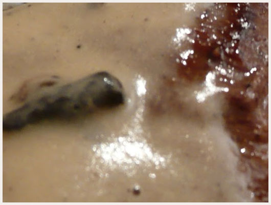 Steak d'Autruche Morilles