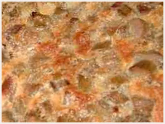 Tarte a la rhubarbe et fromage blanc