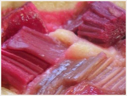 Tarte a la rhubarbe facile