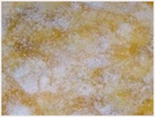Tarte abricot coco