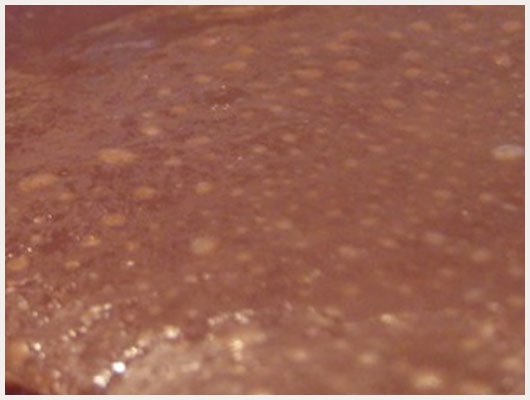 Tarte au chocolat au lait