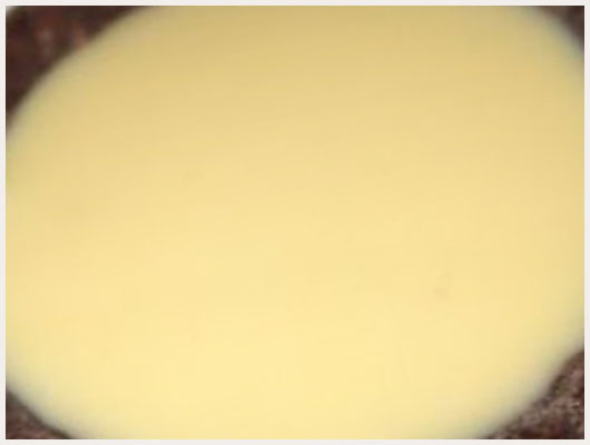 Tarte au chocolat blanc