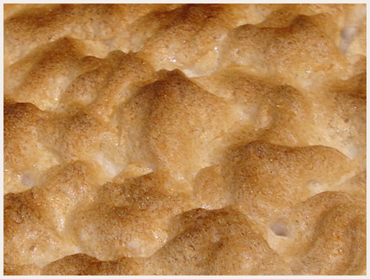Tarte au citron meringuée
