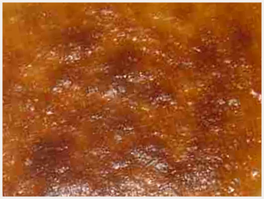 Tarte au Flan Dukan