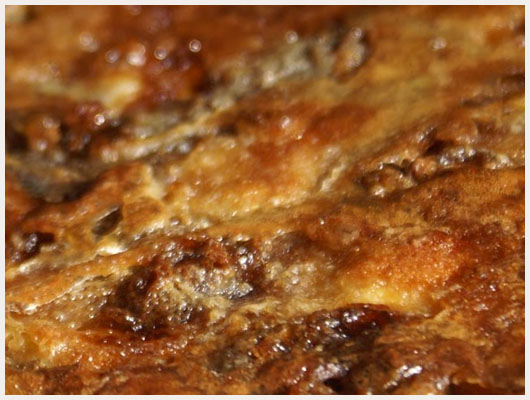 Tarte au sucre du Nord