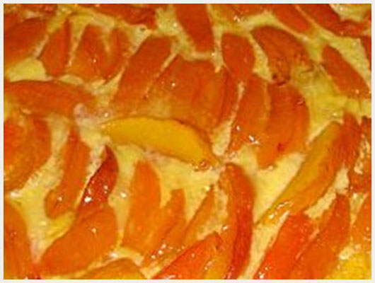 Tarte aux abricots creme patissiere