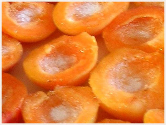 Tarte aux abricots facile