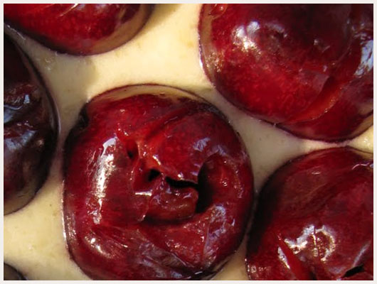 Tarte aux cerises fraiches