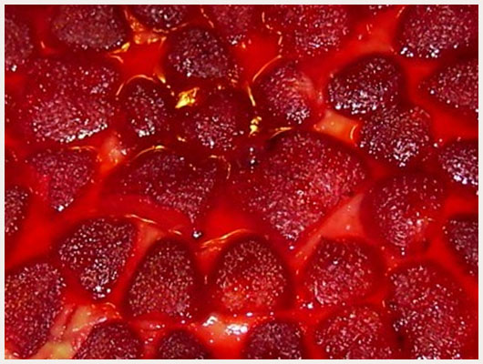 Tarte aux fraises cuites