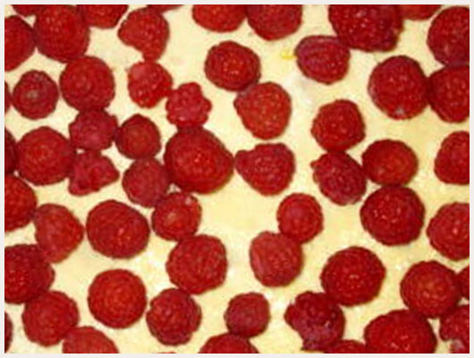Tarte aux framboises et fromage blanc