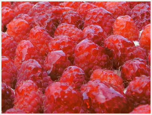Tarte aux framboises facile