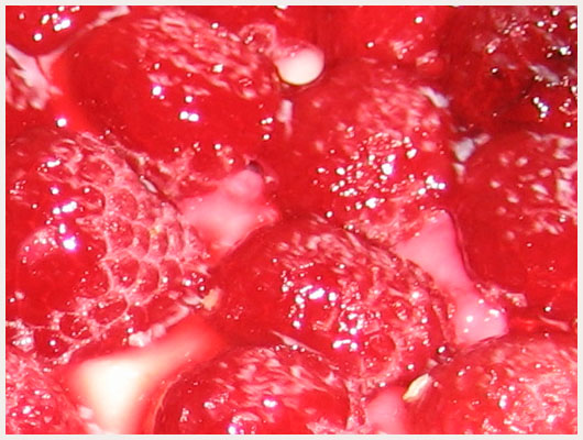 Tarte aux framboises