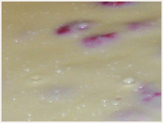 Tarte chocolat blanc framboise