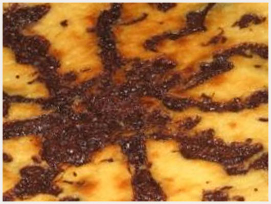 Tarte citron chocolat