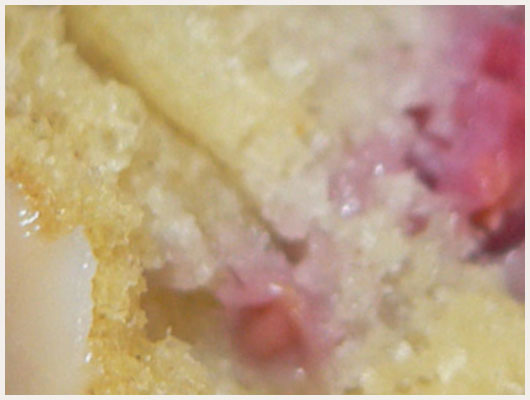 Tarte citron framboise