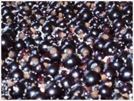 Tarte groseille cassis