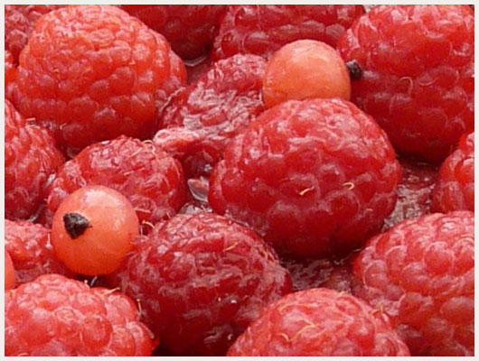 Tarte groseille framboise