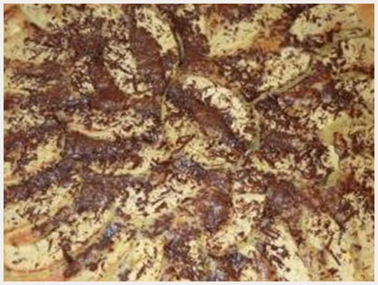 Tarte pomme chocolat