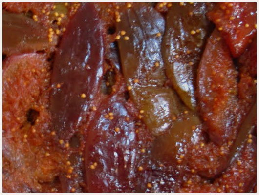 Tarte tatin aux figues