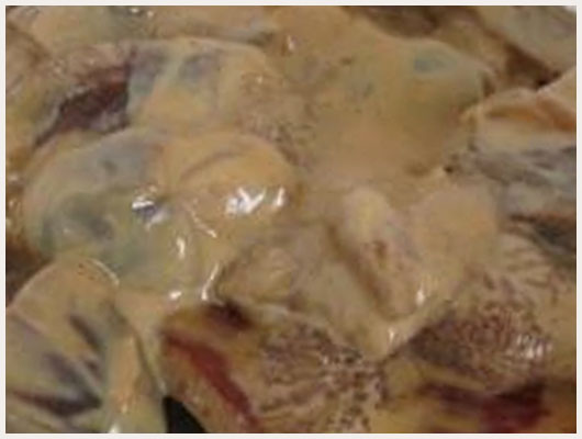 Veau Sauce Forestière