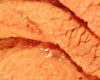 Agneau de Lait