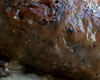 Andouillette au Chaource