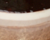 Bavarois 3 Chocolat