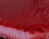 Bavarois aux Fruits Rouges