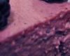 Bavarois Mure