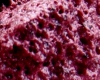 Bavarois Myrtilles