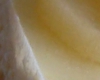 Bavarois Poire Vanille