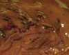 Bavette de Boeuf Moutarde