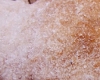 Beignet Facile