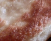 Beignet Kabyle