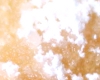 Beignet Libanais