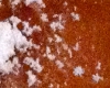 Beignet Lyon