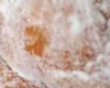 Beignet Marocain