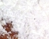 Beignet Simple
