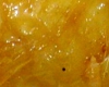 Beignet Turque