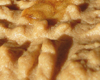 Biscuit Beurre Arachide