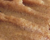 Biscuit Beurre d'Arachide