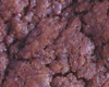 Biscuit Chocolat