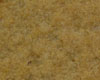 Biscuit Croquant