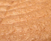 Biscuit de Savoie Facile