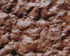 Biscuit Double Chocolat
