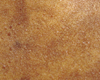 Biscuit Entremet