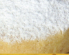Biscuit Espagnol