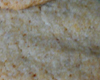 Biscuit Facile