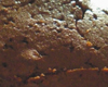 Biscuit Fourr au Chocolat