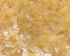 Biscuit Gingembre Frais